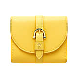 Buttercup Yellow