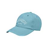 Aquamarine Blue