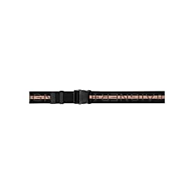 InMotion luggage strap S Photo