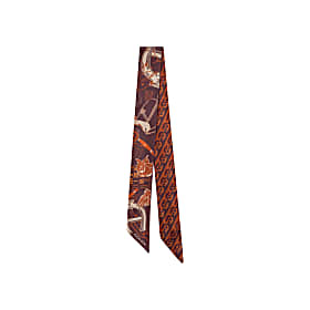 Seasonal Bandana  S Photo