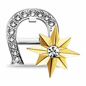 Logo brooch with stones Photo