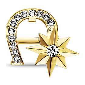 Logo Brosche mit Steinchen Photo
