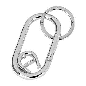 Carabiner keychain Photo