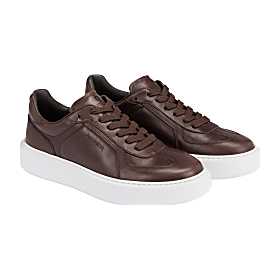 William Sneaker Photo
