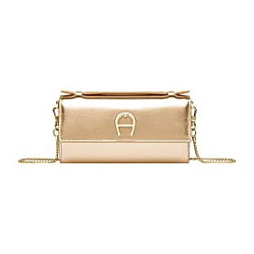Metallic Wallet on Chain Photo