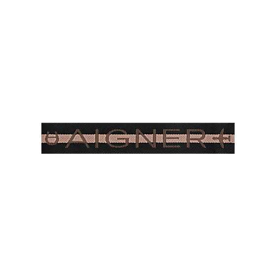 InMotion luggage strap S Photo