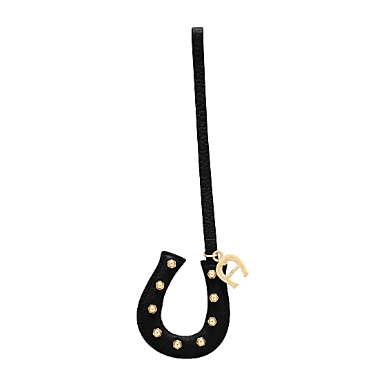 Fashion Pendant Horseshoe Photo