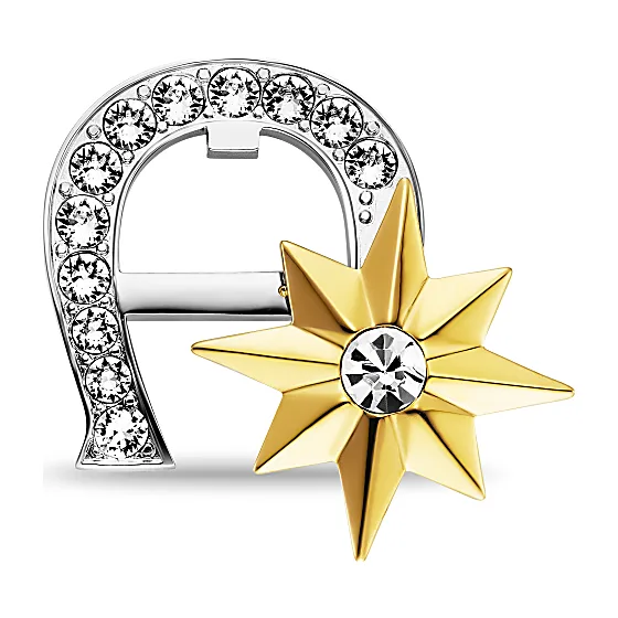 Logo brooch with stones Photo