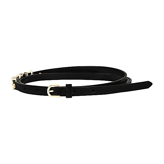 Logo Belt 1 cm Photo