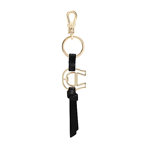 Fashion keychain logo Photo