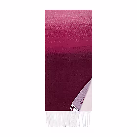 Seasonal Scarf Photo