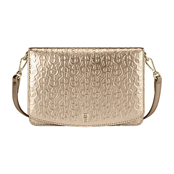 Maila Metallic Wallet on Chain Photo