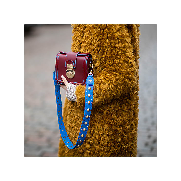 Lederriemen mit Nieten grau - AIGNER Club