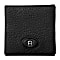 Northern Lights coin case