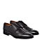 Tim wingtip derbies