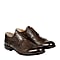 Thomas derby brogue