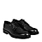 Carl Derby Lace