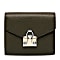 Mina Combination Wallet