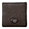 Northern Lights coin case
