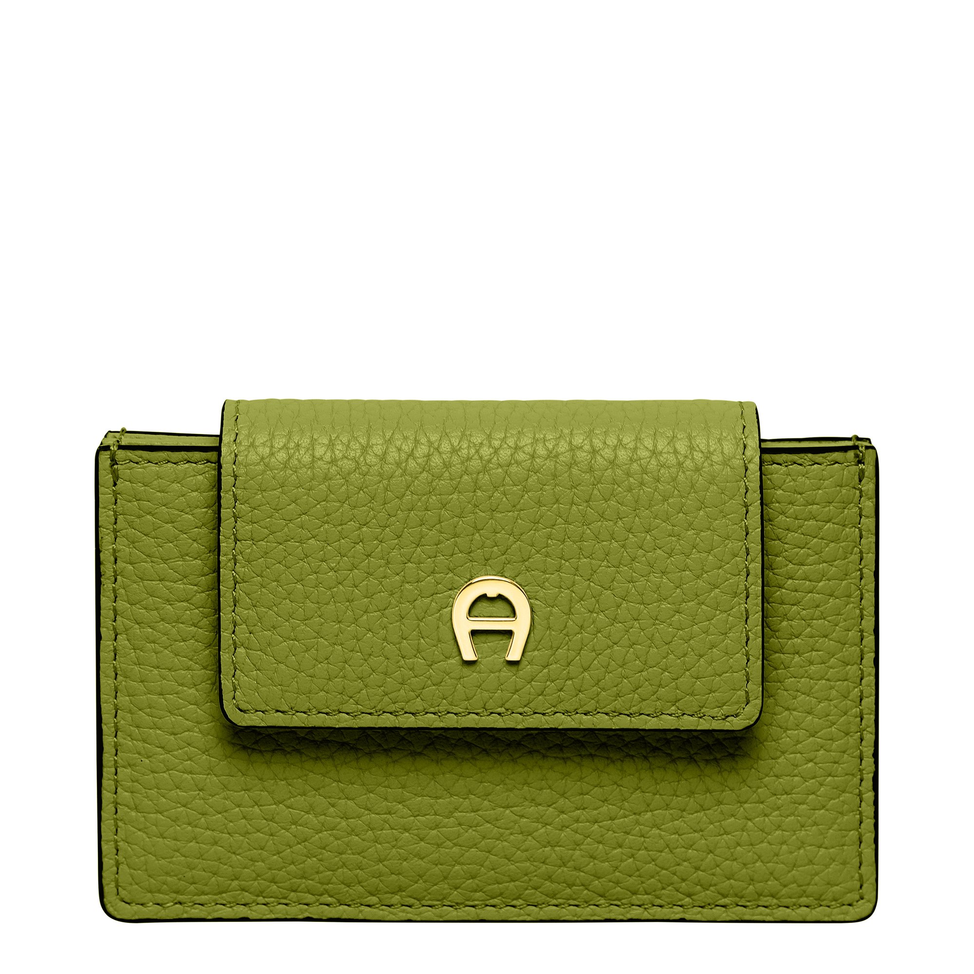 Aigner Delia Kartenetui Pistachio Green